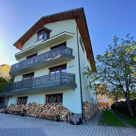 Willa Ewa Krynica Zdroj Bagian luar foto