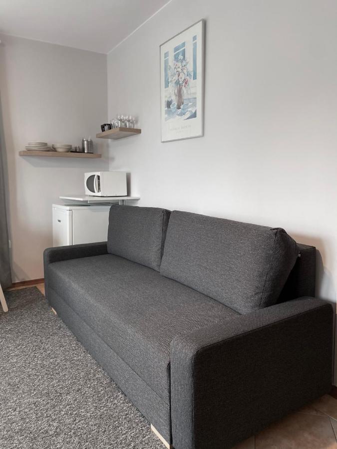 Willa Ewa Krynica Zdroj Bagian luar foto