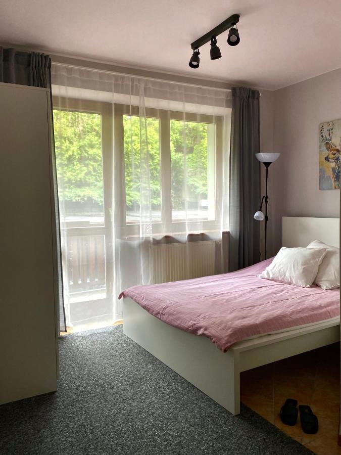 Willa Ewa Krynica Zdroj Bagian luar foto