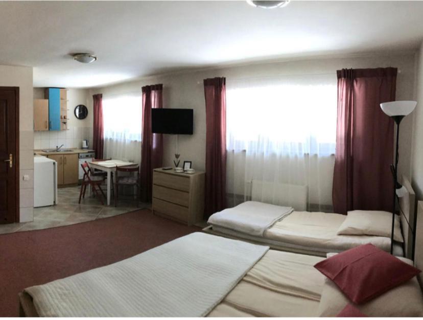Willa Ewa Krynica Zdroj Bagian luar foto
