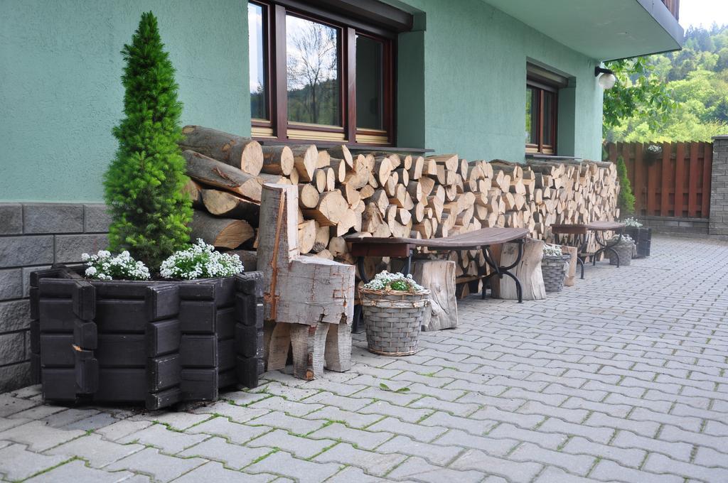 Willa Ewa Krynica Zdroj Bagian luar foto