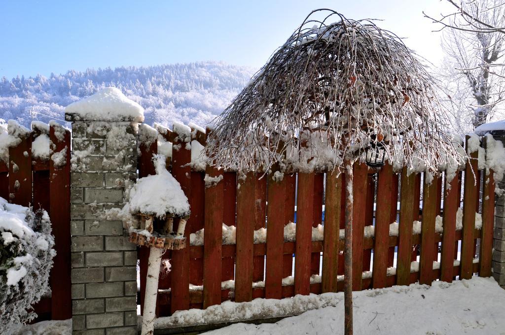Willa Ewa Krynica Zdroj Bagian luar foto