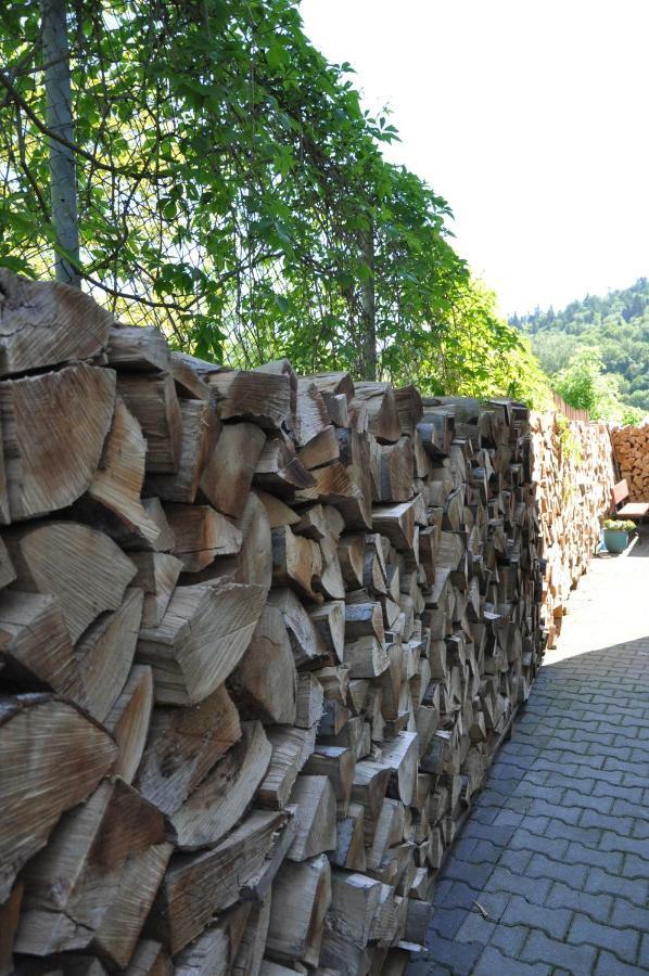 Willa Ewa Krynica Zdroj Bagian luar foto
