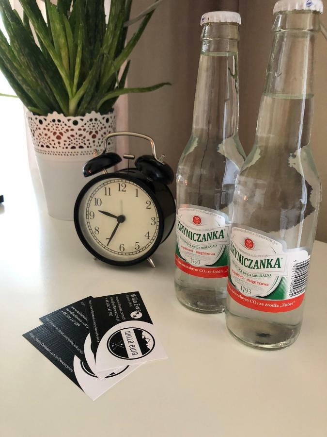 Willa Ewa Krynica Zdroj Bagian luar foto